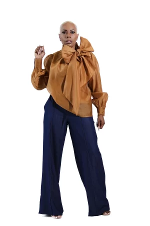 Organza Blouse Long Sleeve
